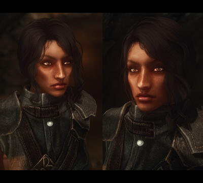 SHWB's - Thieves Guild Overhauls