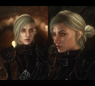 SHWB's - Thieves Guild Overhauls