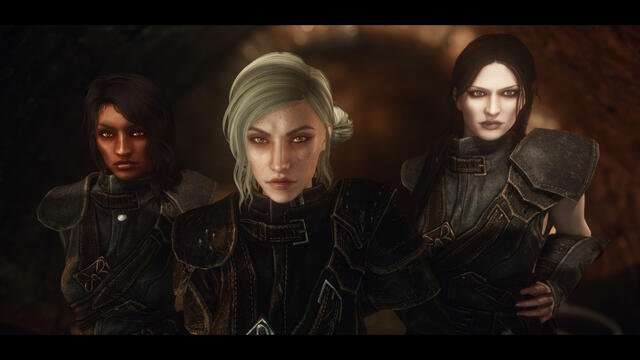 SHWB's - Thieves Guild Overhauls